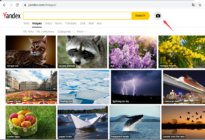 Yandex main.png